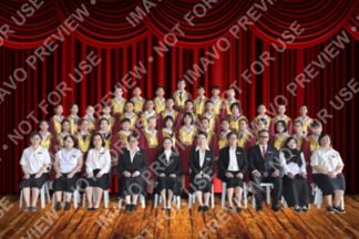 Premium Class Memory (Framed)